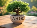 Adam Halls Garden Center