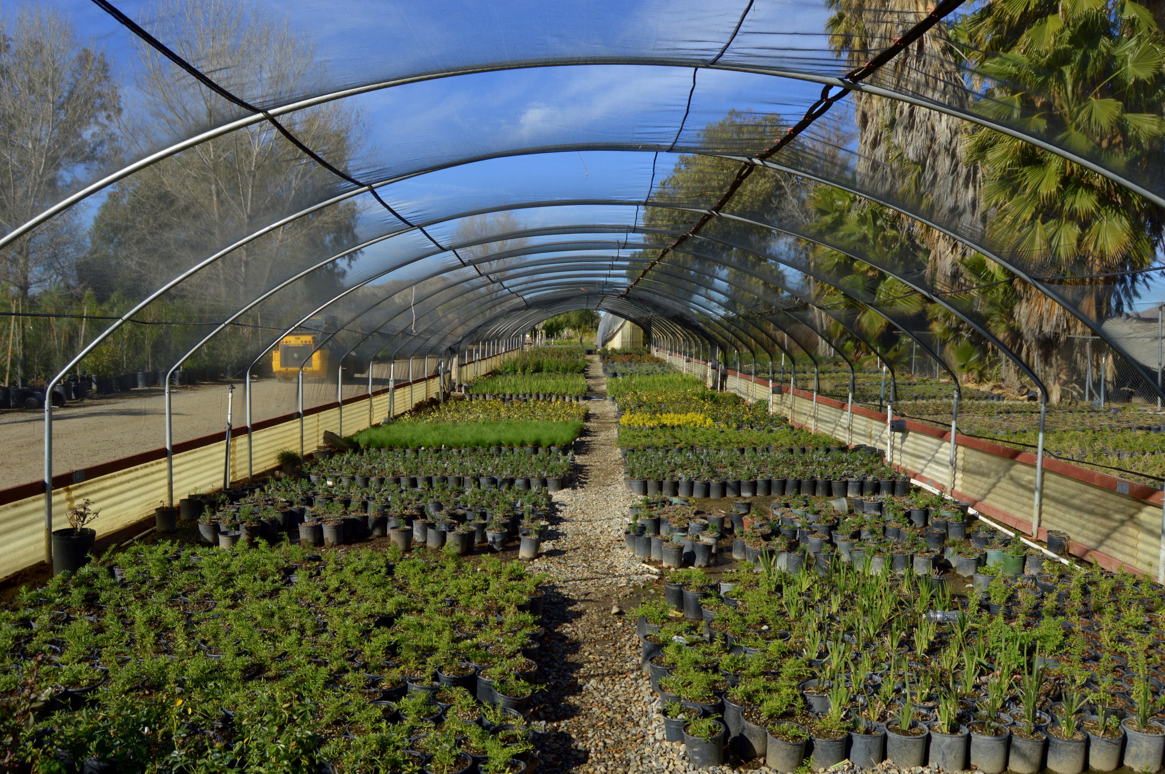 Greenhouse Specialties